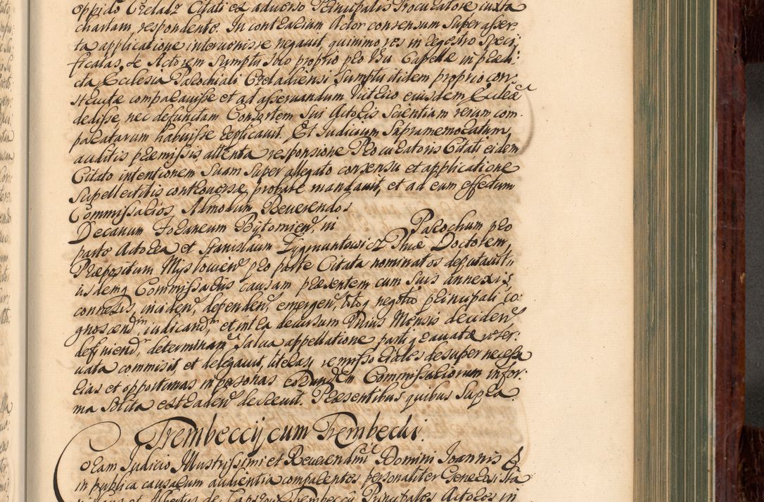 Zdjęcie nr 482 dla obiektu archiwalnego: Acta actorum episcopalium R. D. Joannis a Małachowice Małachowski, episcopi Cracoviensis a die 16 Julii anni 1688 et 1689 acticatorum. Volumen IV