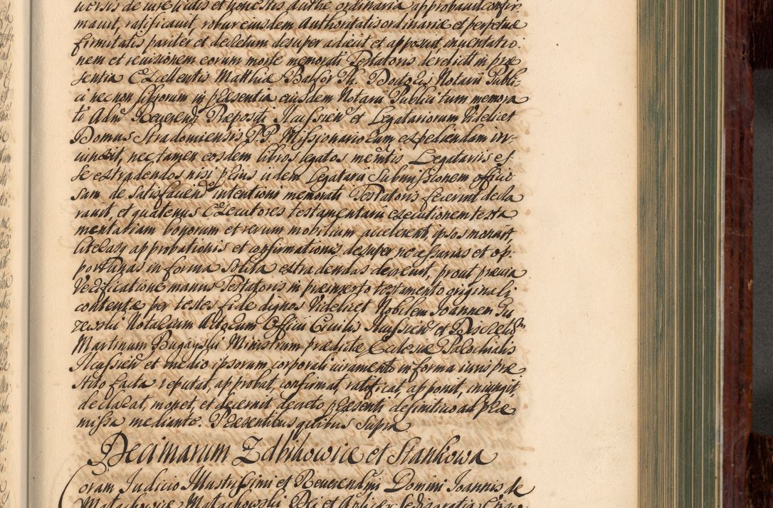Zdjęcie nr 458 dla obiektu archiwalnego: Acta actorum episcopalium R. D. Joannis a Małachowice Małachowski, episcopi Cracoviensis a die 16 Julii anni 1688 et 1689 acticatorum. Volumen IV