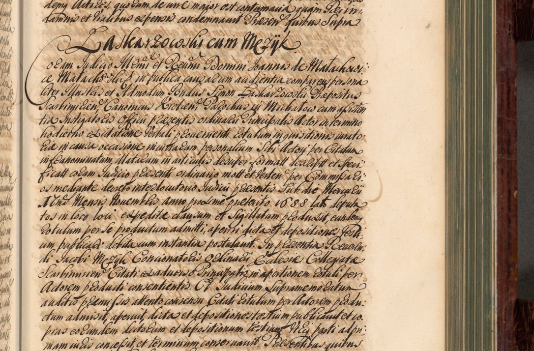 Zdjęcie nr 416 dla obiektu archiwalnego: Acta actorum episcopalium R. D. Joannis a Małachowice Małachowski, episcopi Cracoviensis a die 16 Julii anni 1688 et 1689 acticatorum. Volumen IV