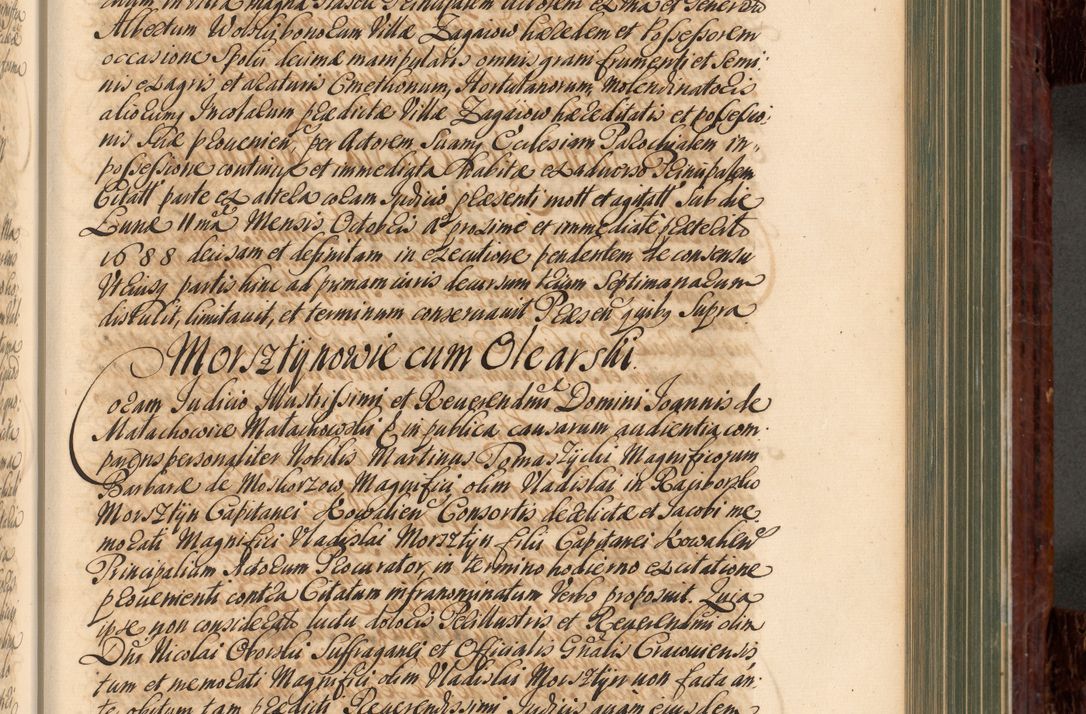 Zdjęcie nr 412 dla obiektu archiwalnego: Acta actorum episcopalium R. D. Joannis a Małachowice Małachowski, episcopi Cracoviensis a die 16 Julii anni 1688 et 1689 acticatorum. Volumen IV