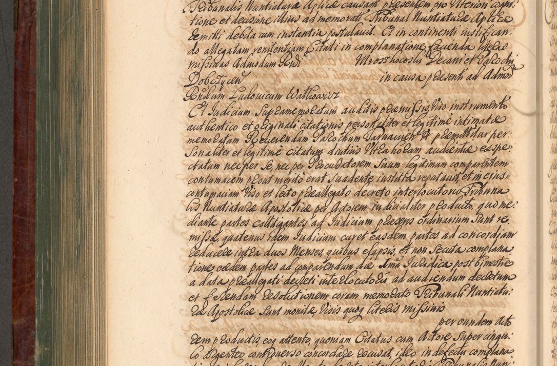 Zdjęcie nr 801 dla obiektu archiwalnego: Acta actorum episcopalium R. D. Joannis a Małachowice Małachowski, episcopi Cracoviensis a die 16 Julii anni 1688 et 1689 acticatorum. Volumen IV