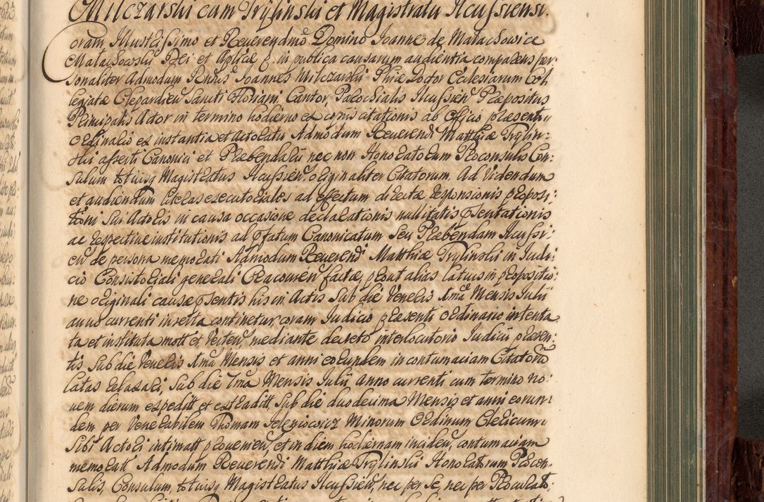 Zdjęcie nr 786 dla obiektu archiwalnego: Acta actorum episcopalium R. D. Joannis a Małachowice Małachowski, episcopi Cracoviensis a die 16 Julii anni 1688 et 1689 acticatorum. Volumen IV