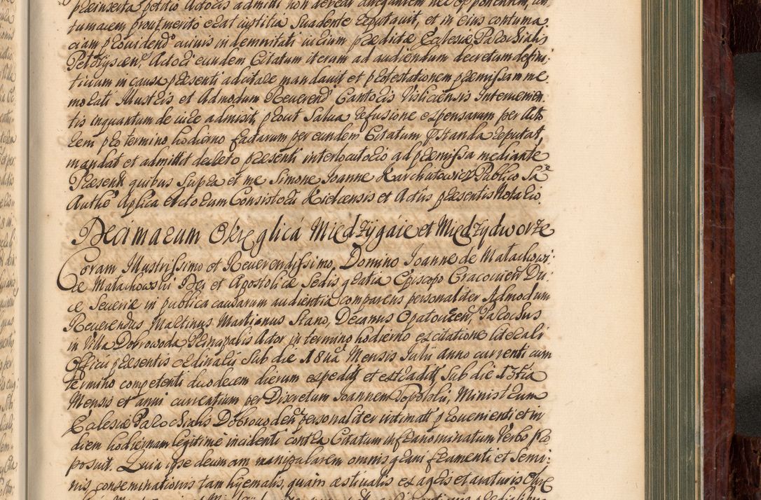 Zdjęcie nr 780 dla obiektu archiwalnego: Acta actorum episcopalium R. D. Joannis a Małachowice Małachowski, episcopi Cracoviensis a die 16 Julii anni 1688 et 1689 acticatorum. Volumen IV
