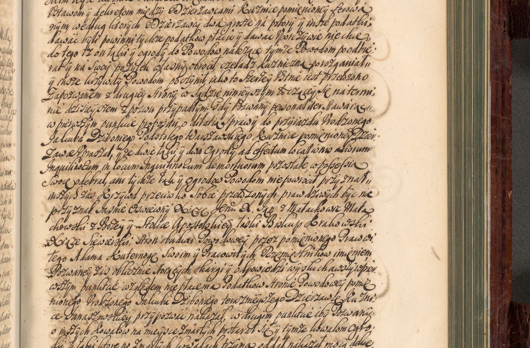 Zdjęcie nr 764 dla obiektu archiwalnego: Acta actorum episcopalium R. D. Joannis a Małachowice Małachowski, episcopi Cracoviensis a die 16 Julii anni 1688 et 1689 acticatorum. Volumen IV