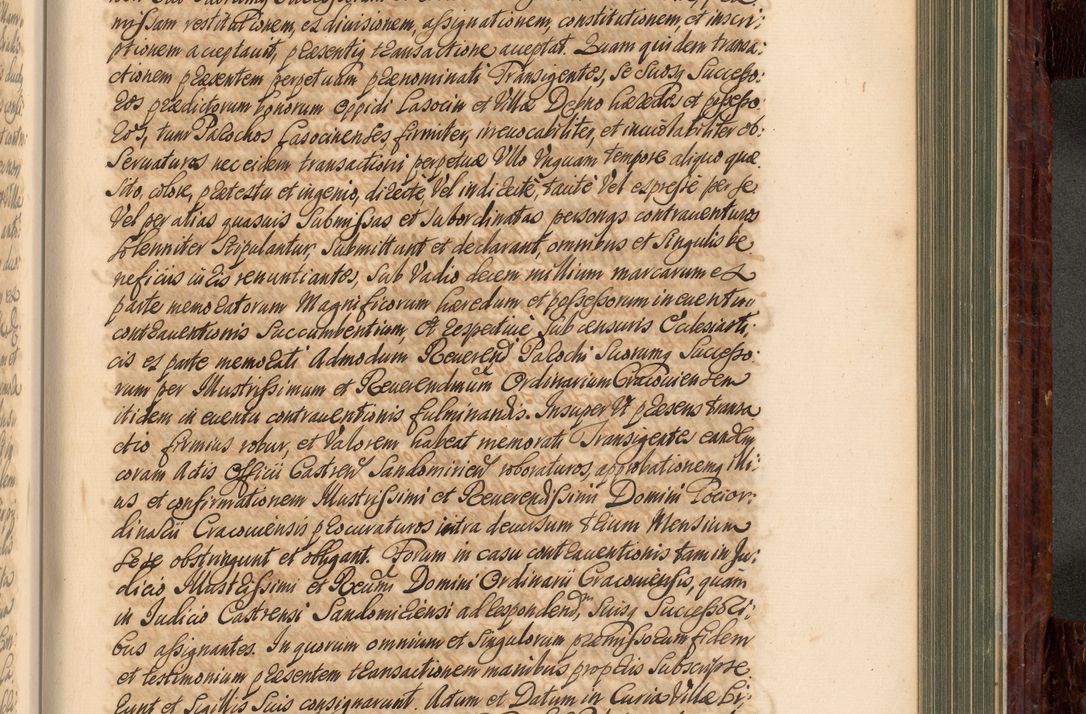 Zdjęcie nr 750 dla obiektu archiwalnego: Acta actorum episcopalium R. D. Joannis a Małachowice Małachowski, episcopi Cracoviensis a die 16 Julii anni 1688 et 1689 acticatorum. Volumen IV