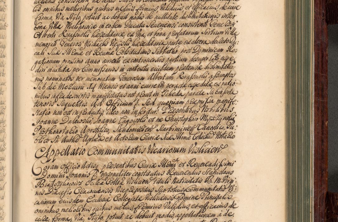 Zdjęcie nr 746 dla obiektu archiwalnego: Acta actorum episcopalium R. D. Joannis a Małachowice Małachowski, episcopi Cracoviensis a die 16 Julii anni 1688 et 1689 acticatorum. Volumen IV