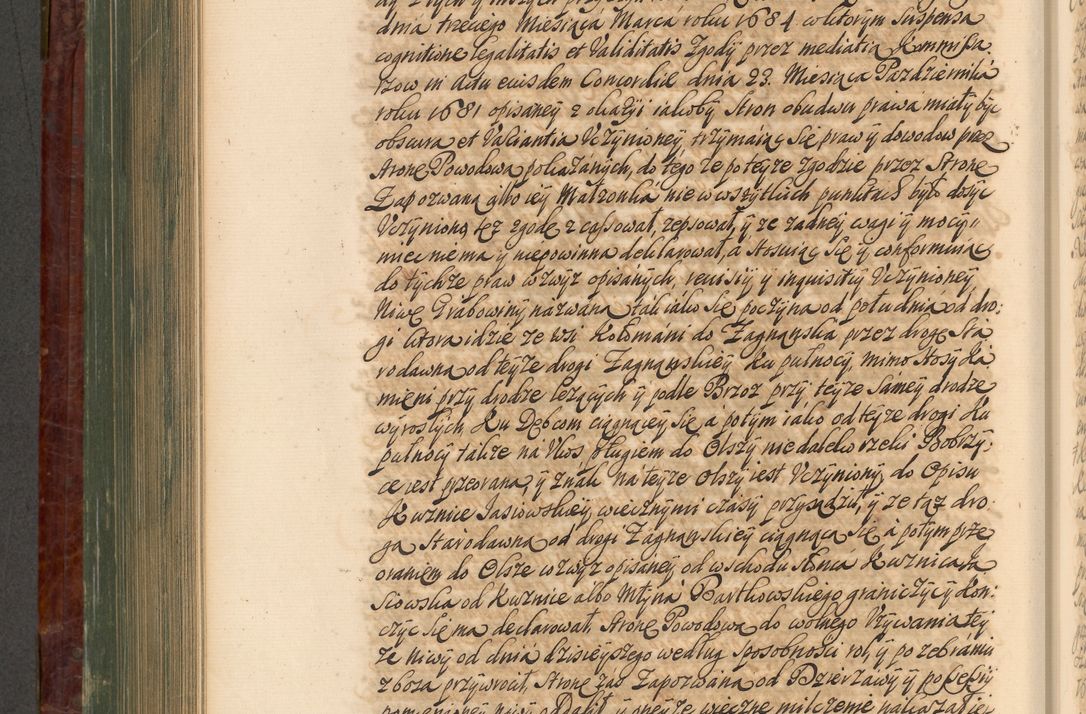 Zdjęcie nr 741 dla obiektu archiwalnego: Acta actorum episcopalium R. D. Joannis a Małachowice Małachowski, episcopi Cracoviensis a die 16 Julii anni 1688 et 1689 acticatorum. Volumen IV