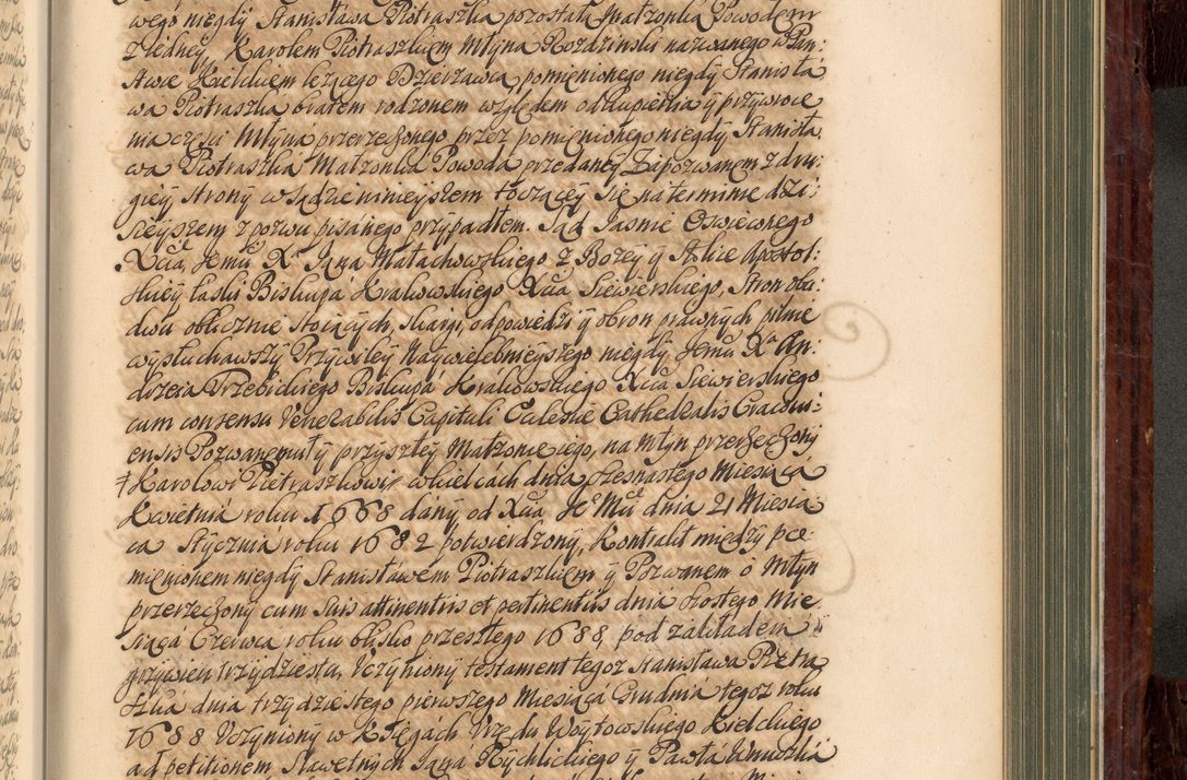 Zdjęcie nr 742 dla obiektu archiwalnego: Acta actorum episcopalium R. D. Joannis a Małachowice Małachowski, episcopi Cracoviensis a die 16 Julii anni 1688 et 1689 acticatorum. Volumen IV