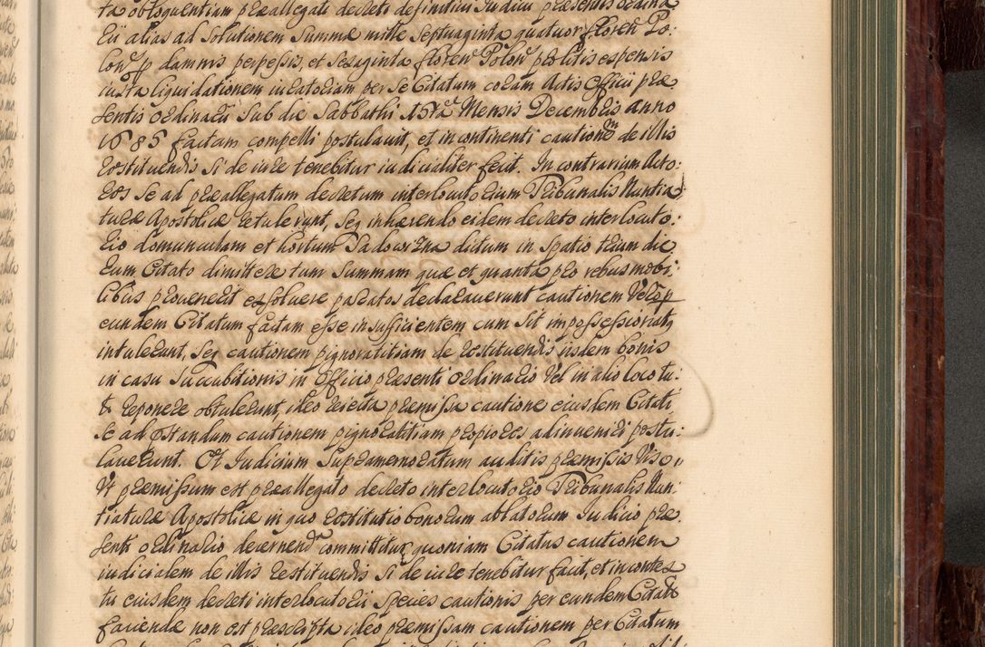 Zdjęcie nr 732 dla obiektu archiwalnego: Acta actorum episcopalium R. D. Joannis a Małachowice Małachowski, episcopi Cracoviensis a die 16 Julii anni 1688 et 1689 acticatorum. Volumen IV