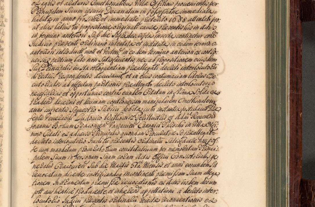 Zdjęcie nr 728 dla obiektu archiwalnego: Acta actorum episcopalium R. D. Joannis a Małachowice Małachowski, episcopi Cracoviensis a die 16 Julii anni 1688 et 1689 acticatorum. Volumen IV