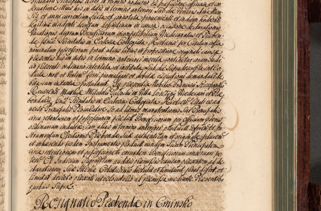 Zdjęcie nr 704 dla obiektu archiwalnego: Acta actorum episcopalium R. D. Joannis a Małachowice Małachowski, episcopi Cracoviensis a die 16 Julii anni 1688 et 1689 acticatorum. Volumen IV