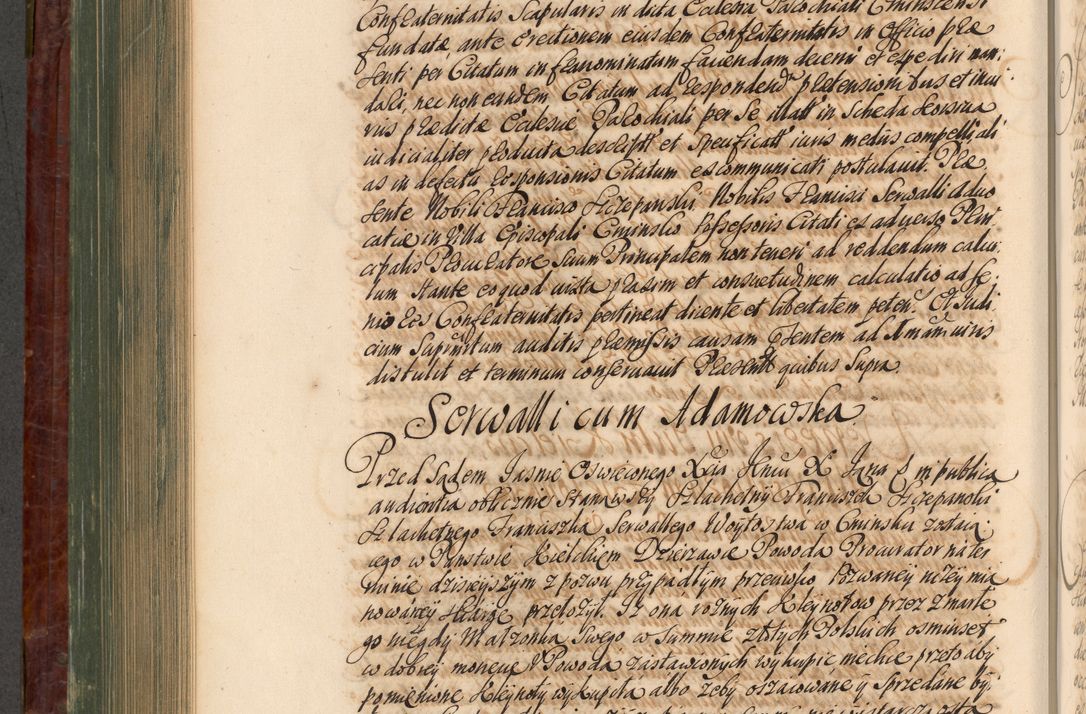 Zdjęcie nr 699 dla obiektu archiwalnego: Acta actorum episcopalium R. D. Joannis a Małachowice Małachowski, episcopi Cracoviensis a die 16 Julii anni 1688 et 1689 acticatorum. Volumen IV