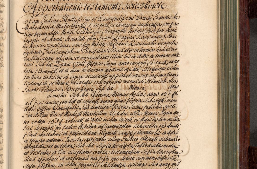 Zdjęcie nr 676 dla obiektu archiwalnego: Acta actorum episcopalium R. D. Joannis a Małachowice Małachowski, episcopi Cracoviensis a die 16 Julii anni 1688 et 1689 acticatorum. Volumen IV