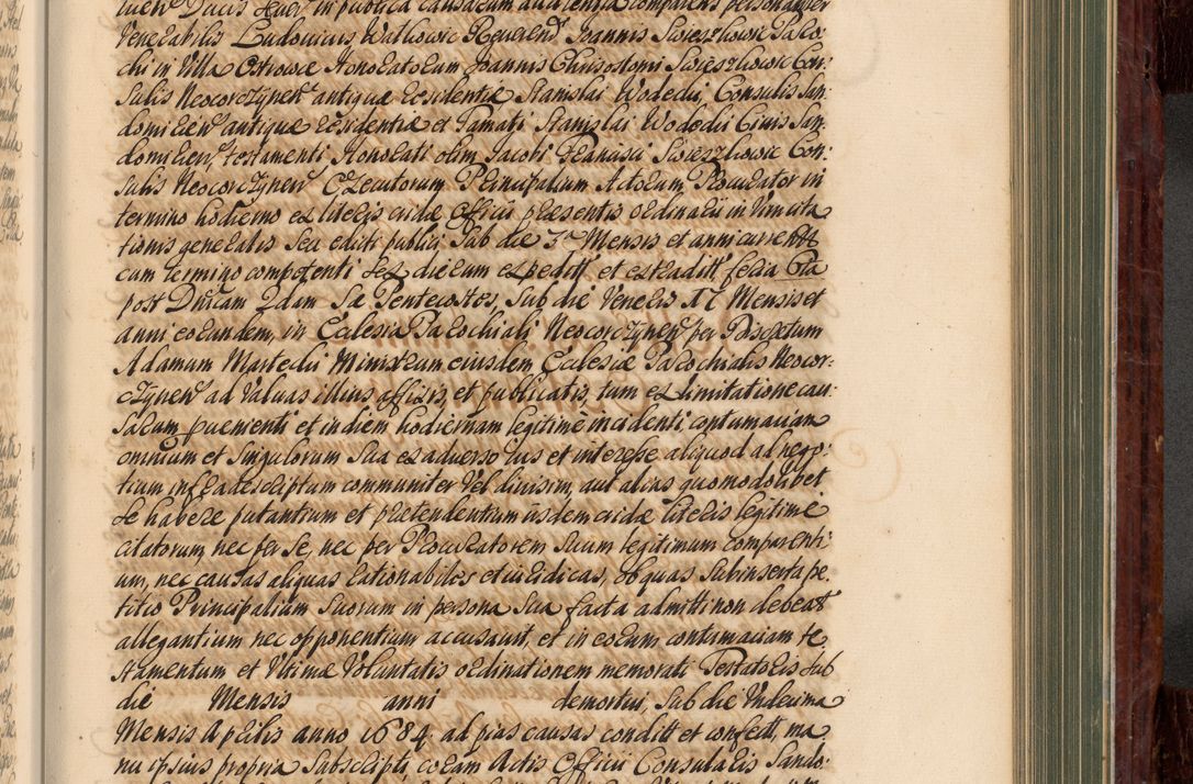 Zdjęcie nr 668 dla obiektu archiwalnego: Acta actorum episcopalium R. D. Joannis a Małachowice Małachowski, episcopi Cracoviensis a die 16 Julii anni 1688 et 1689 acticatorum. Volumen IV