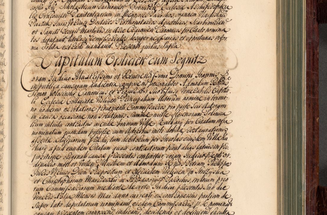 Zdjęcie nr 660 dla obiektu archiwalnego: Acta actorum episcopalium R. D. Joannis a Małachowice Małachowski, episcopi Cracoviensis a die 16 Julii anni 1688 et 1689 acticatorum. Volumen IV