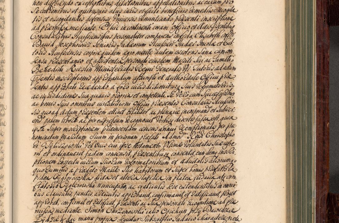 Zdjęcie nr 650 dla obiektu archiwalnego: Acta actorum episcopalium R. D. Joannis a Małachowice Małachowski, episcopi Cracoviensis a die 16 Julii anni 1688 et 1689 acticatorum. Volumen IV