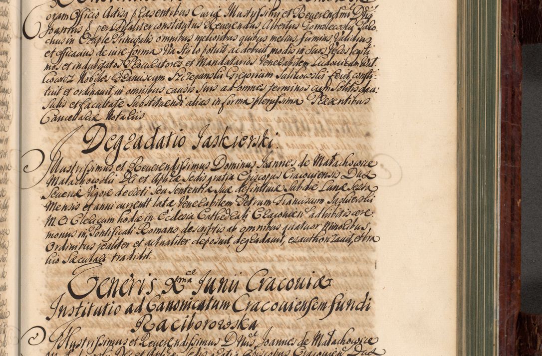 Zdjęcie nr 638 dla obiektu archiwalnego: Acta actorum episcopalium R. D. Joannis a Małachowice Małachowski, episcopi Cracoviensis a die 16 Julii anni 1688 et 1689 acticatorum. Volumen IV