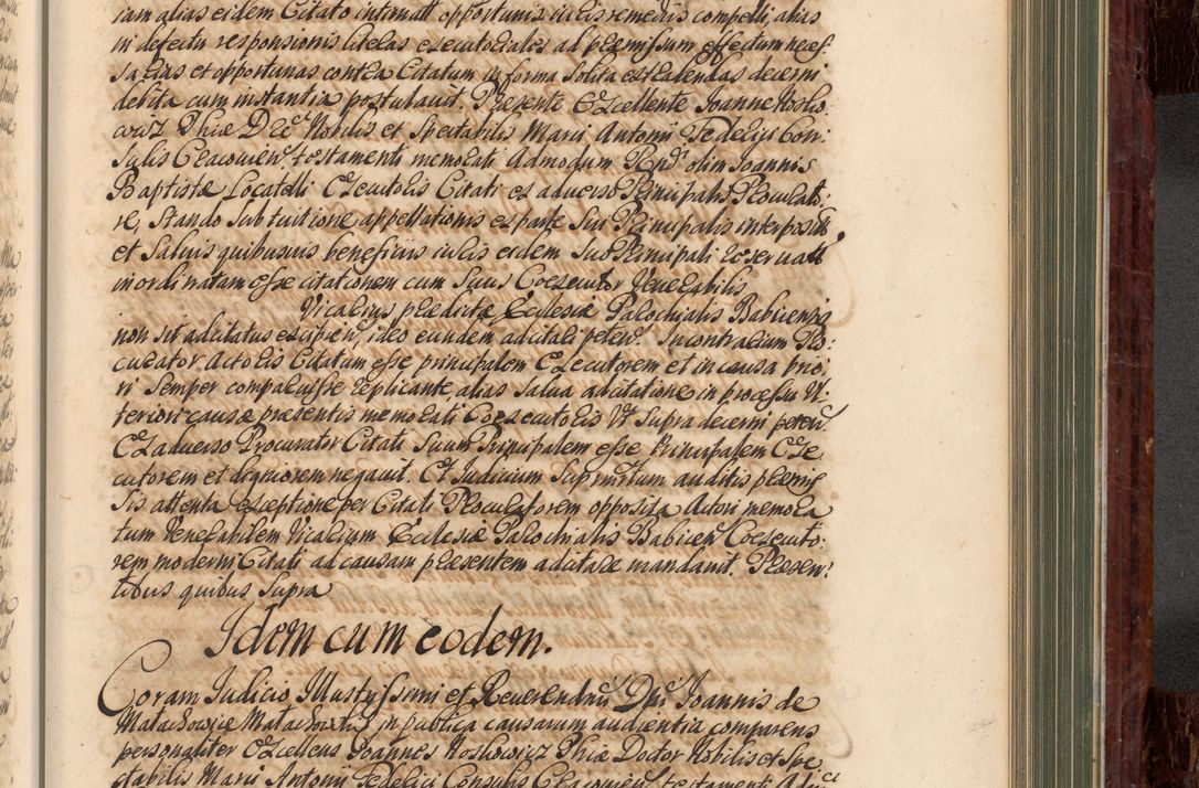 Zdjęcie nr 632 dla obiektu archiwalnego: Acta actorum episcopalium R. D. Joannis a Małachowice Małachowski, episcopi Cracoviensis a die 16 Julii anni 1688 et 1689 acticatorum. Volumen IV