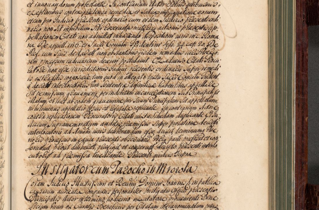 Zdjęcie nr 616 dla obiektu archiwalnego: Acta actorum episcopalium R. D. Joannis a Małachowice Małachowski, episcopi Cracoviensis a die 16 Julii anni 1688 et 1689 acticatorum. Volumen IV