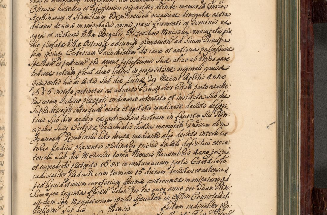 Zdjęcie nr 810 dla obiektu archiwalnego: Acta actorum episcopalium R. D. Joannis a Małachowice Małachowski, episcopi Cracoviensis a die 16 Julii anni 1688 et 1689 acticatorum. Volumen IV