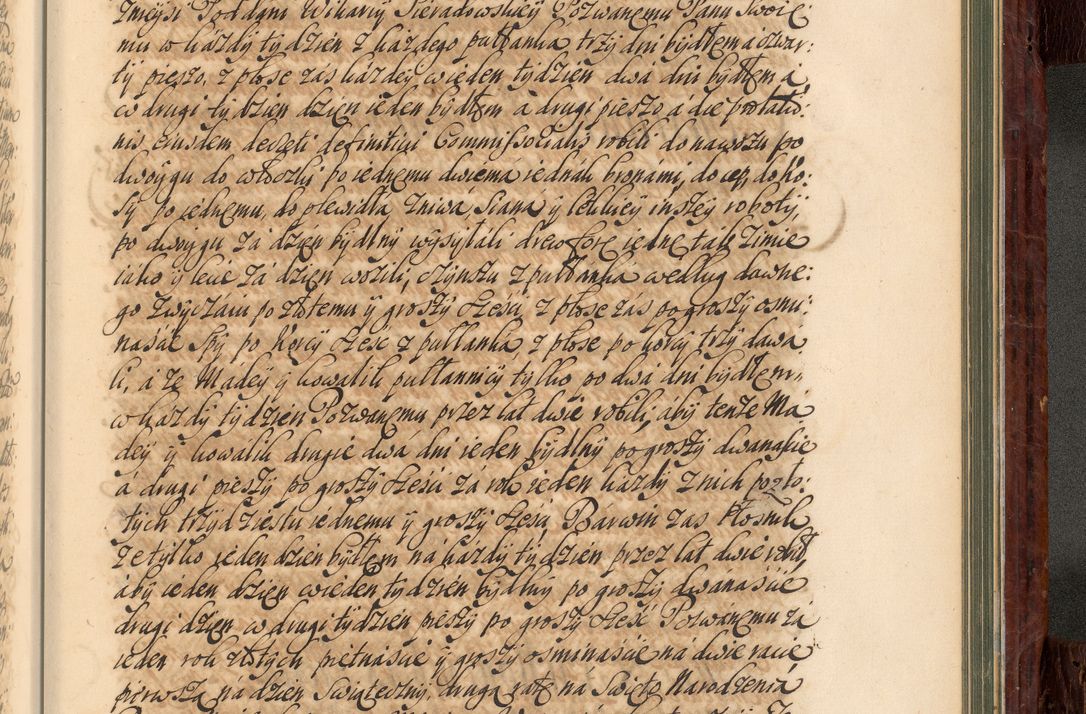 Zdjęcie nr 1002 dla obiektu archiwalnego: Acta actorum episcopalium R. D. Joannis a Małachowice Małachowski, episcopi Cracoviensis a die 16 Julii anni 1688 et 1689 acticatorum. Volumen IV