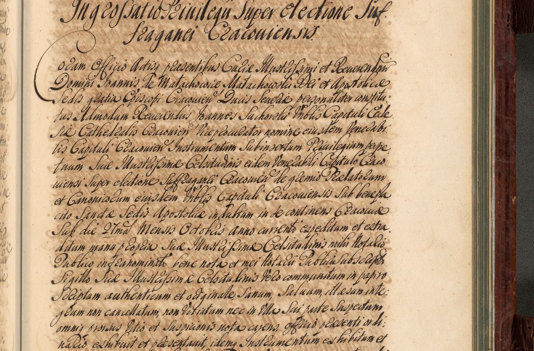 Zdjęcie nr 986 dla obiektu archiwalnego: Acta actorum episcopalium R. D. Joannis a Małachowice Małachowski, episcopi Cracoviensis a die 16 Julii anni 1688 et 1689 acticatorum. Volumen IV