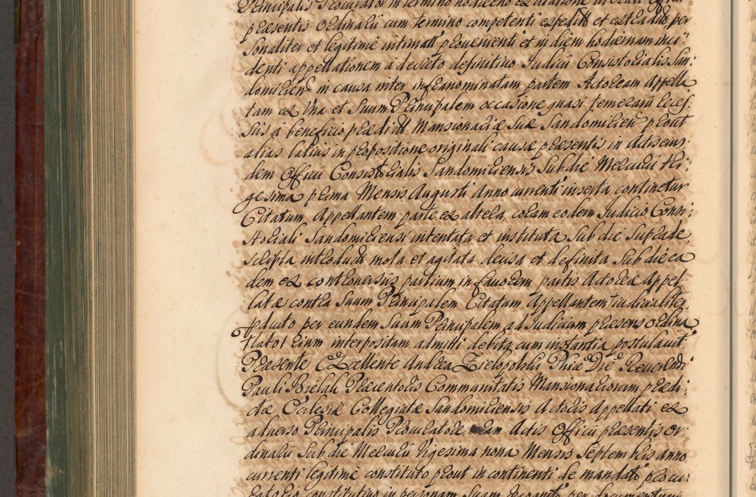 Zdjęcie nr 977 dla obiektu archiwalnego: Acta actorum episcopalium R. D. Joannis a Małachowice Małachowski, episcopi Cracoviensis a die 16 Julii anni 1688 et 1689 acticatorum. Volumen IV