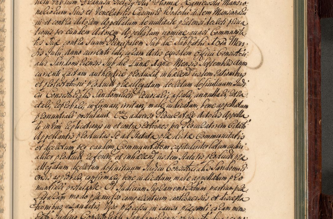 Zdjęcie nr 978 dla obiektu archiwalnego: Acta actorum episcopalium R. D. Joannis a Małachowice Małachowski, episcopi Cracoviensis a die 16 Julii anni 1688 et 1689 acticatorum. Volumen IV