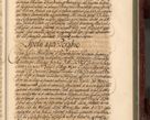 Zdjęcie nr 974 dla obiektu archiwalnego: Acta actorum episcopalium R. D. Joannis a Małachowice Małachowski, episcopi Cracoviensis a die 16 Julii anni 1688 et 1689 acticatorum. Volumen IV