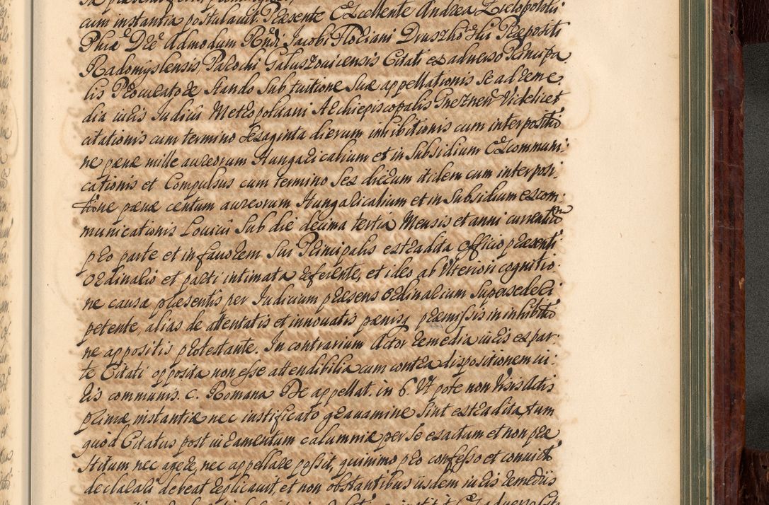 Zdjęcie nr 964 dla obiektu archiwalnego: Acta actorum episcopalium R. D. Joannis a Małachowice Małachowski, episcopi Cracoviensis a die 16 Julii anni 1688 et 1689 acticatorum. Volumen IV