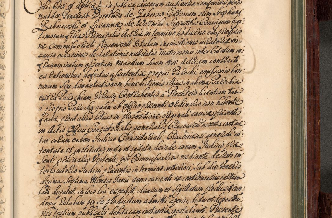 Zdjęcie nr 918 dla obiektu archiwalnego: Acta actorum episcopalium R. D. Joannis a Małachowice Małachowski, episcopi Cracoviensis a die 16 Julii anni 1688 et 1689 acticatorum. Volumen IV