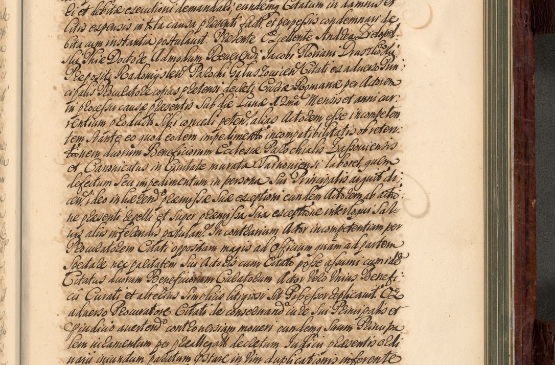 Zdjęcie nr 902 dla obiektu archiwalnego: Acta actorum episcopalium R. D. Joannis a Małachowice Małachowski, episcopi Cracoviensis a die 16 Julii anni 1688 et 1689 acticatorum. Volumen IV