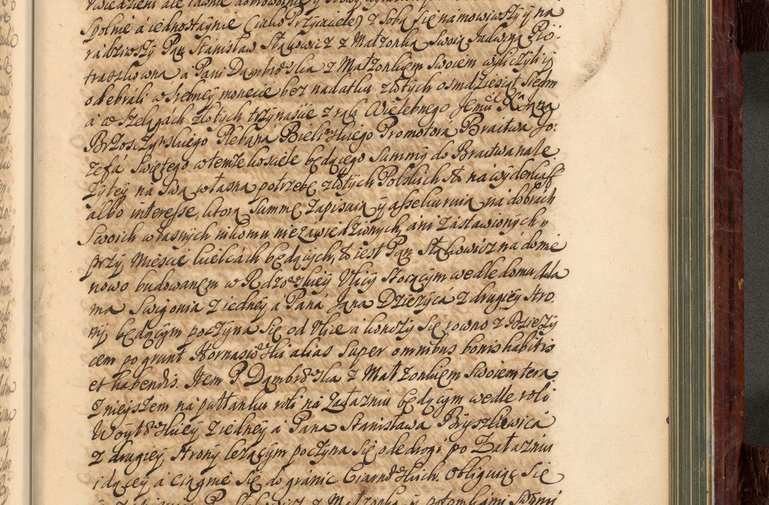 Zdjęcie nr 874 dla obiektu archiwalnego: Acta actorum episcopalium R. D. Joannis a Małachowice Małachowski, episcopi Cracoviensis a die 16 Julii anni 1688 et 1689 acticatorum. Volumen IV