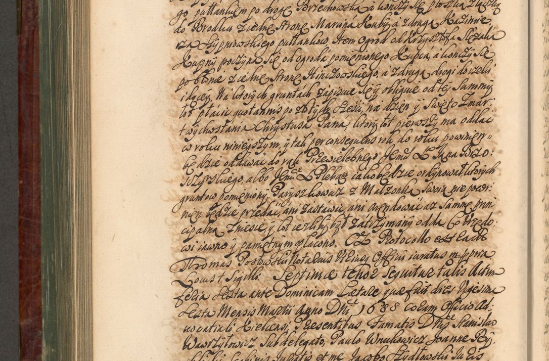 Zdjęcie nr 873 dla obiektu archiwalnego: Acta actorum episcopalium R. D. Joannis a Małachowice Małachowski, episcopi Cracoviensis a die 16 Julii anni 1688 et 1689 acticatorum. Volumen IV