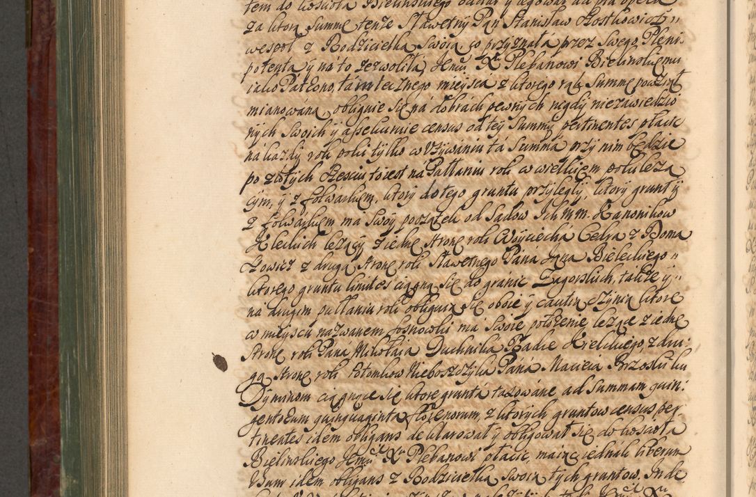 Zdjęcie nr 867 dla obiektu archiwalnego: Acta actorum episcopalium R. D. Joannis a Małachowice Małachowski, episcopi Cracoviensis a die 16 Julii anni 1688 et 1689 acticatorum. Volumen IV