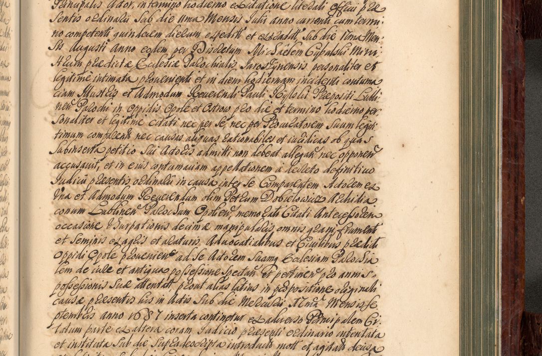 Zdjęcie nr 818 dla obiektu archiwalnego: Acta actorum episcopalium R. D. Joannis a Małachowice Małachowski, episcopi Cracoviensis a die 16 Julii anni 1688 et 1689 acticatorum. Volumen IV