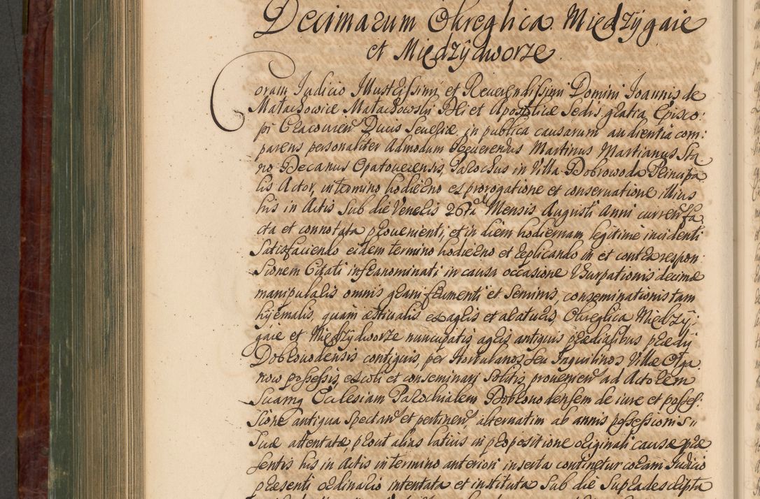 Zdjęcie nr 813 dla obiektu archiwalnego: Acta actorum episcopalium R. D. Joannis a Małachowice Małachowski, episcopi Cracoviensis a die 16 Julii anni 1688 et 1689 acticatorum. Volumen IV