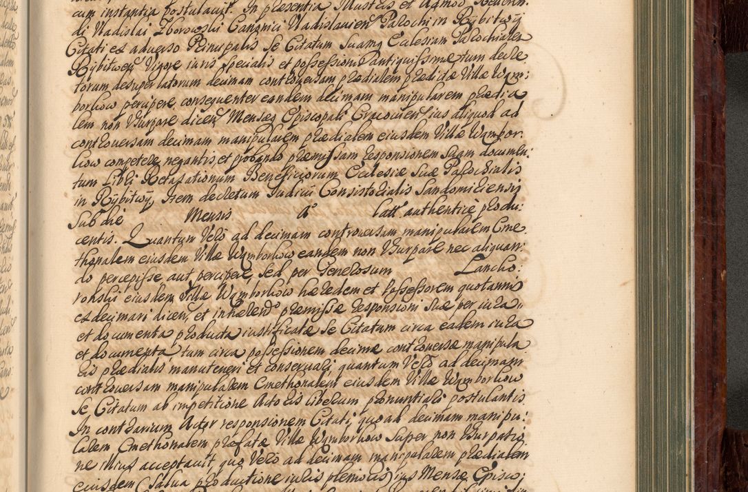 Zdjęcie nr 812 dla obiektu archiwalnego: Acta actorum episcopalium R. D. Joannis a Małachowice Małachowski, episcopi Cracoviensis a die 16 Julii anni 1688 et 1689 acticatorum. Volumen IV