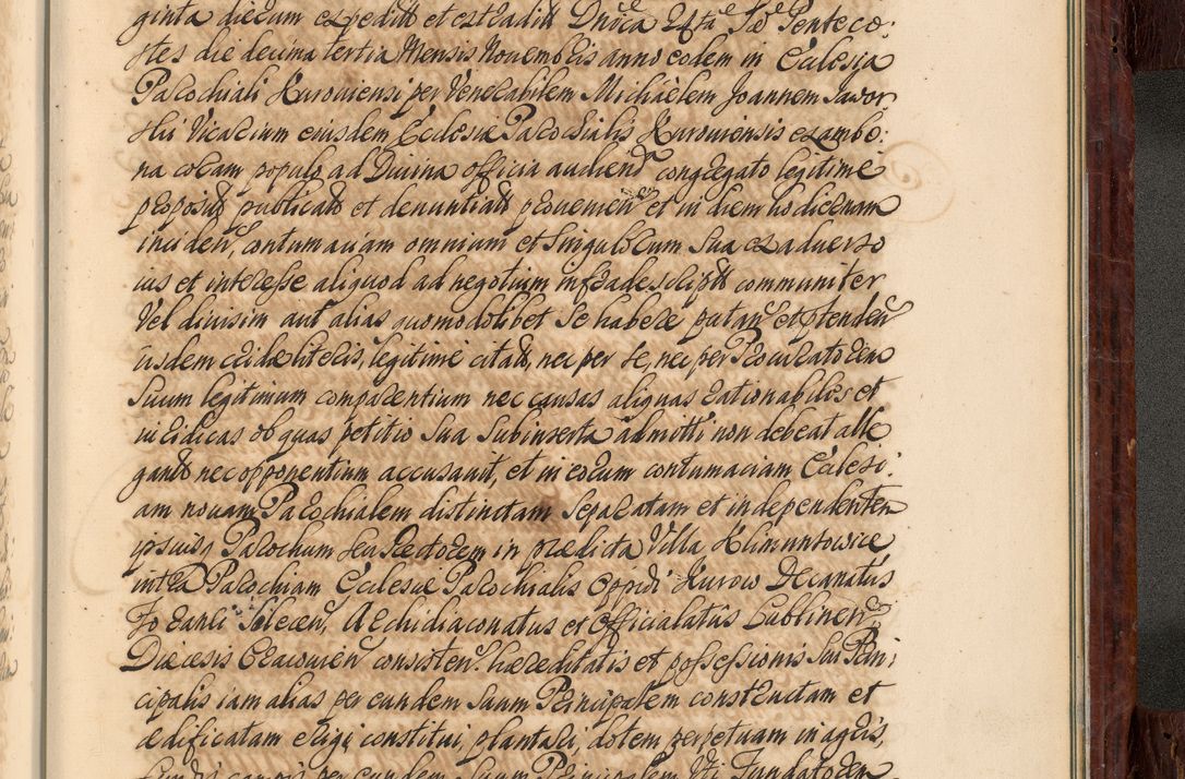 Zdjęcie nr 1106 dla obiektu archiwalnego: Acta actorum episcopalium R. D. Joannis a Małachowice Małachowski, episcopi Cracoviensis a die 16 Julii anni 1688 et 1689 acticatorum. Volumen IV