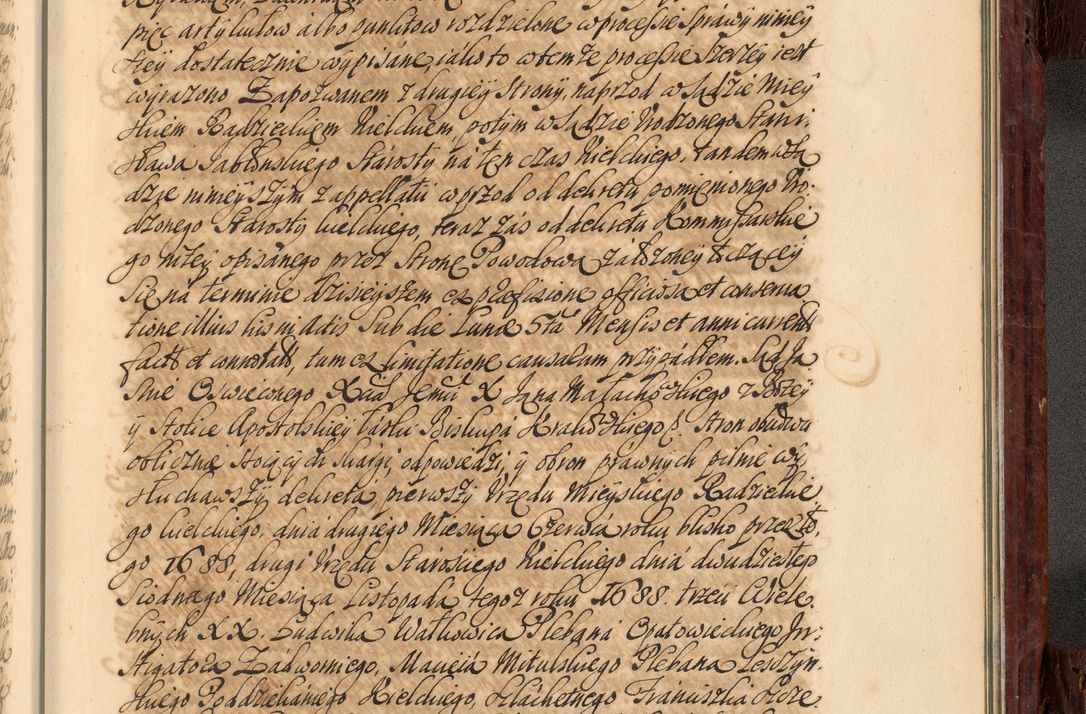 Zdjęcie nr 1092 dla obiektu archiwalnego: Acta actorum episcopalium R. D. Joannis a Małachowice Małachowski, episcopi Cracoviensis a die 16 Julii anni 1688 et 1689 acticatorum. Volumen IV