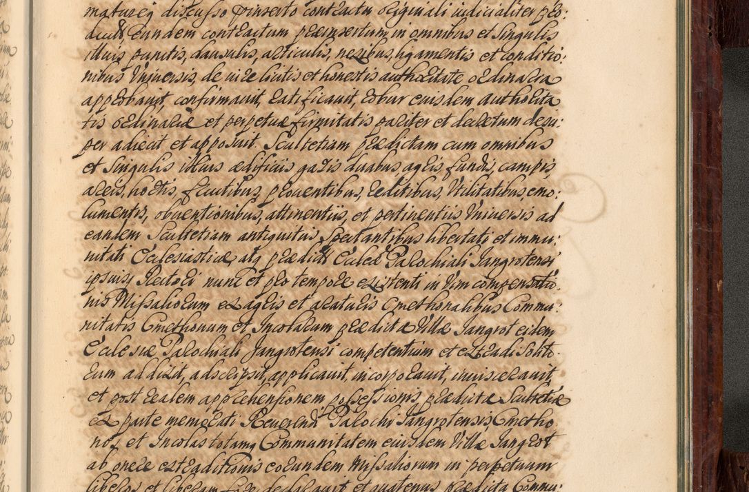 Zdjęcie nr 1076 dla obiektu archiwalnego: Acta actorum episcopalium R. D. Joannis a Małachowice Małachowski, episcopi Cracoviensis a die 16 Julii anni 1688 et 1689 acticatorum. Volumen IV