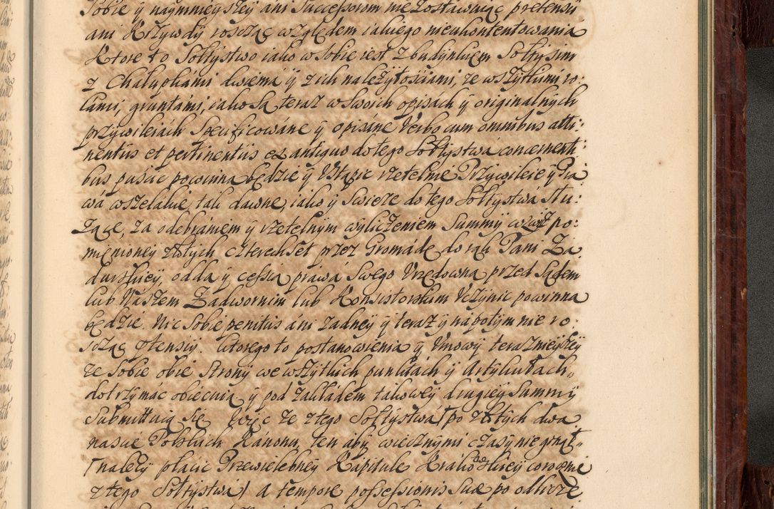 Zdjęcie nr 1074 dla obiektu archiwalnego: Acta actorum episcopalium R. D. Joannis a Małachowice Małachowski, episcopi Cracoviensis a die 16 Julii anni 1688 et 1689 acticatorum. Volumen IV