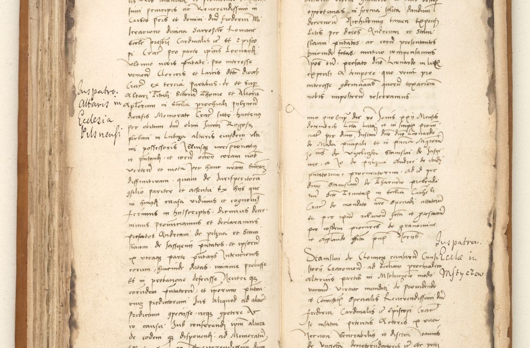 Zdjęcie nr 133 dla obiektu archiwalnego: [Acta sententiarum vicarialia coram Johanne de Goslaw]