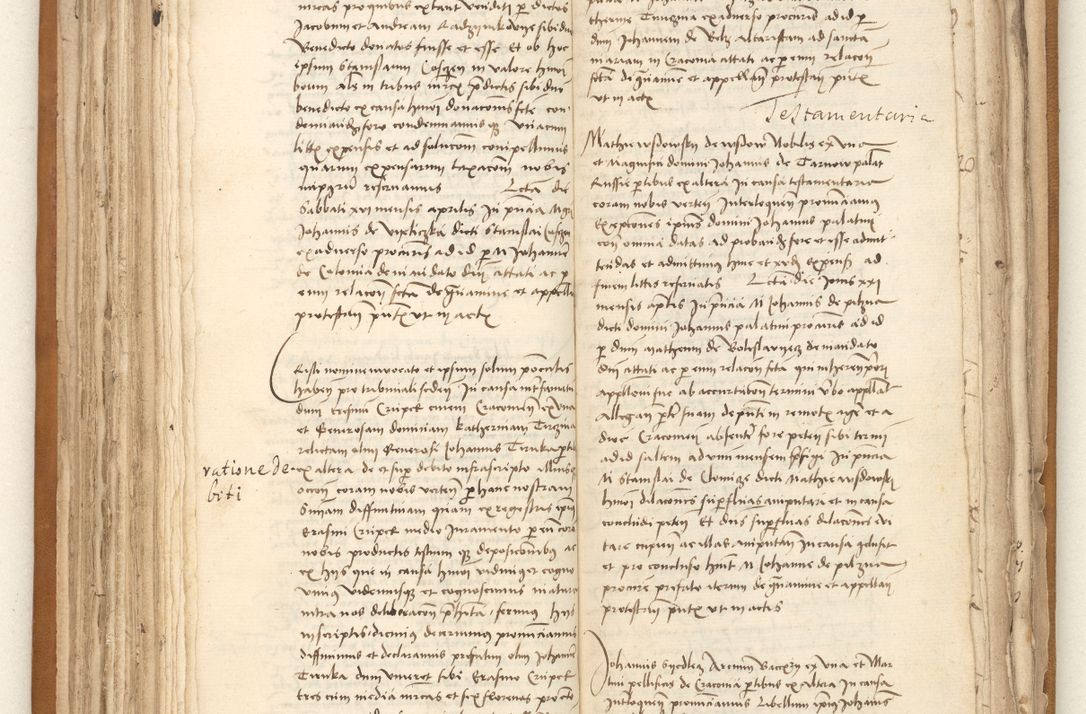 Zdjęcie nr 121 dla obiektu archiwalnego: [Acta sententiarum vicarialia coram Johanne de Goslaw]