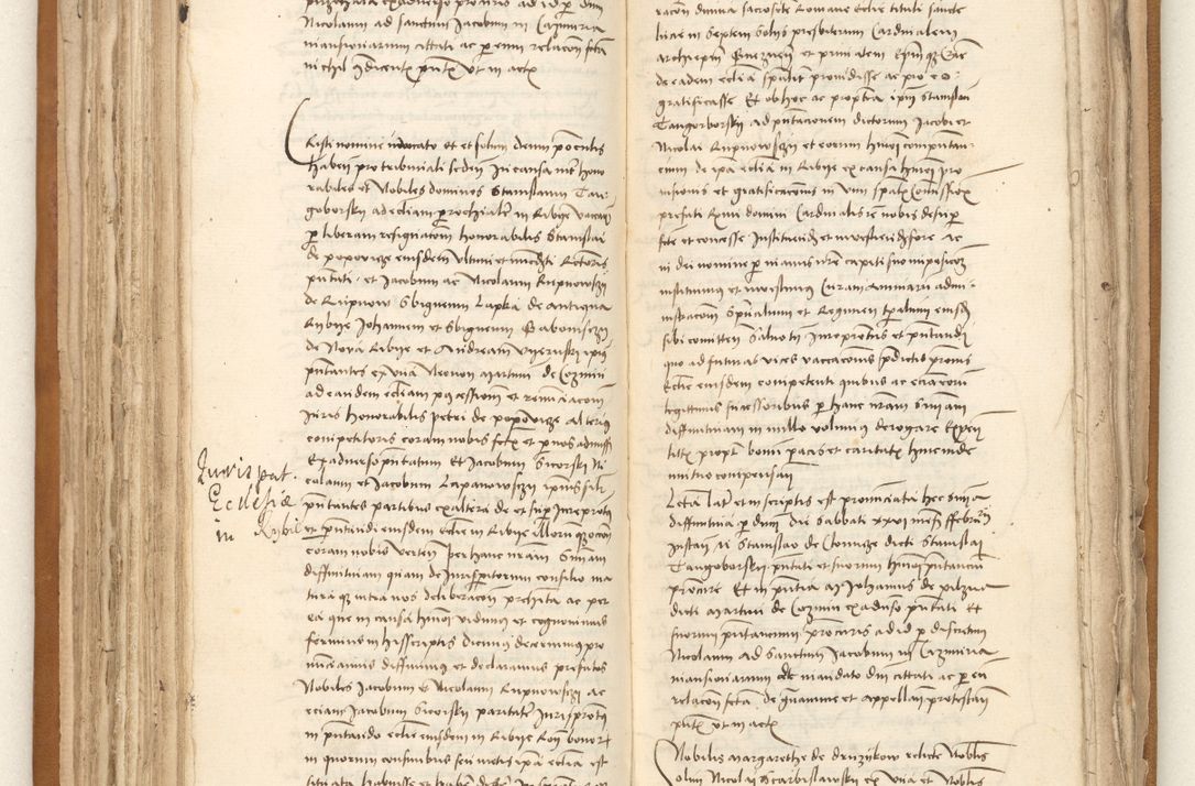 Zdjęcie nr 115 dla obiektu archiwalnego: [Acta sententiarum vicarialia coram Johanne de Goslaw]