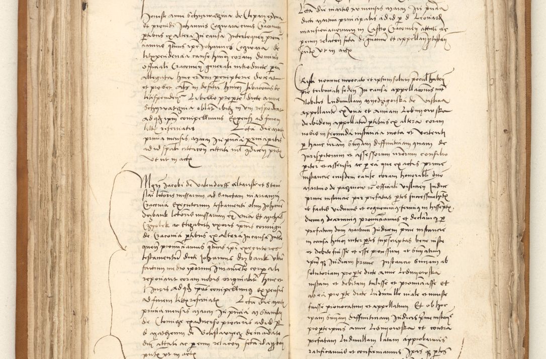 Zdjęcie nr 116 dla obiektu archiwalnego: [Acta sententiarum vicarialia coram Johanne de Goslaw]