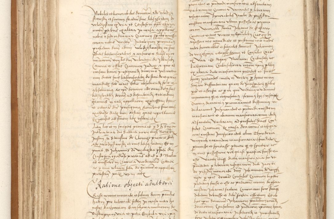 Zdjęcie nr 107 dla obiektu archiwalnego: [Acta sententiarum vicarialia coram Johanne de Goslaw]