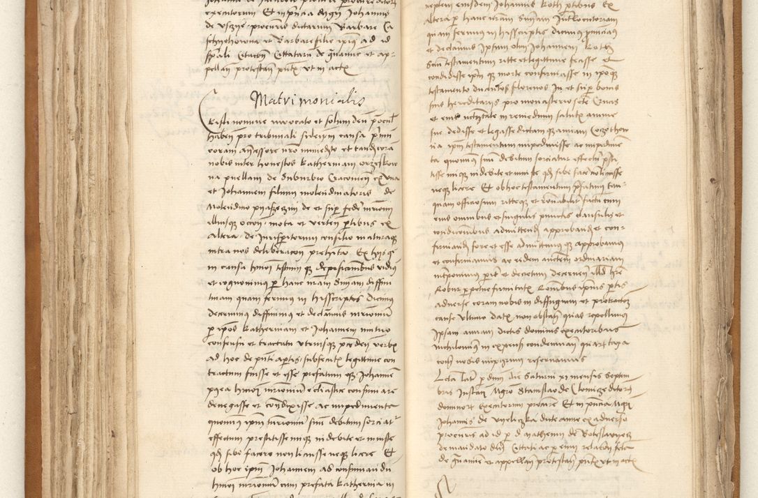 Zdjęcie nr 105 dla obiektu archiwalnego: [Acta sententiarum vicarialia coram Johanne de Goslaw]