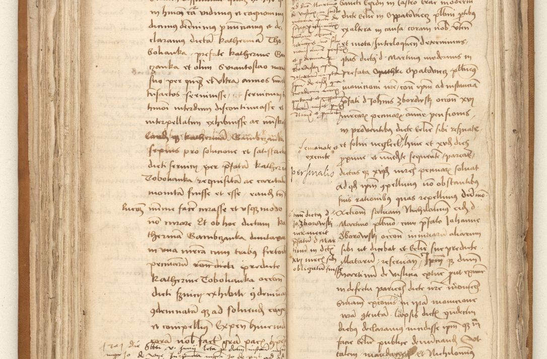 Zdjęcie nr 100 dla obiektu archiwalnego: [Acta sententiarum vicarialia coram Johanne de Goslaw]