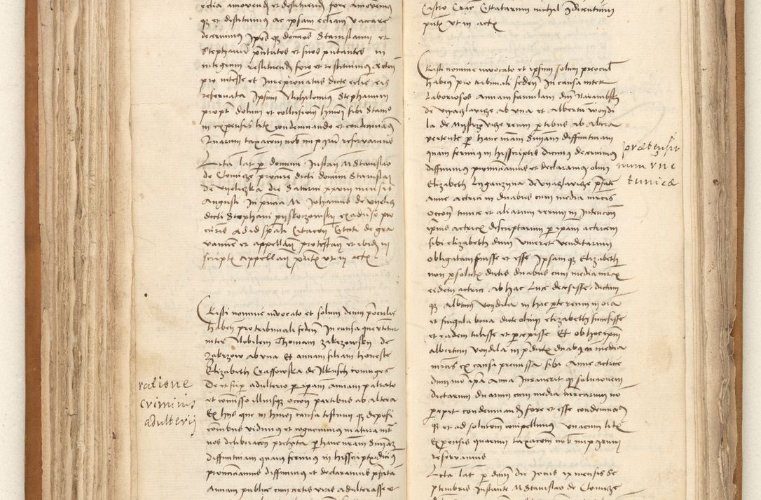 Zdjęcie nr 103 dla obiektu archiwalnego: [Acta sententiarum vicarialia coram Johanne de Goslaw]